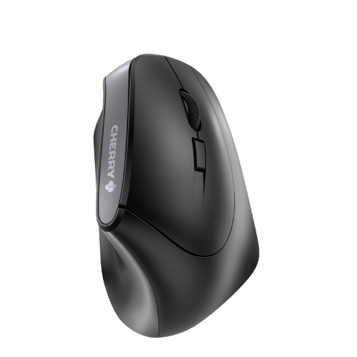 Souris MW 4500 sans-fil