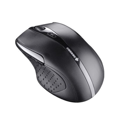 Souris MW 3000 sans-fil