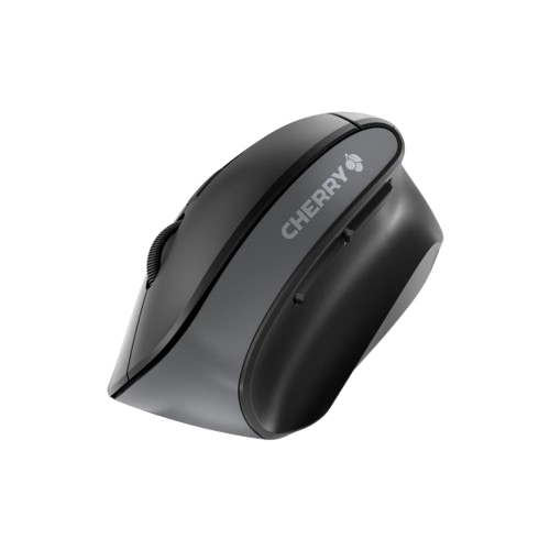 Souris MW 4500 sans-fil