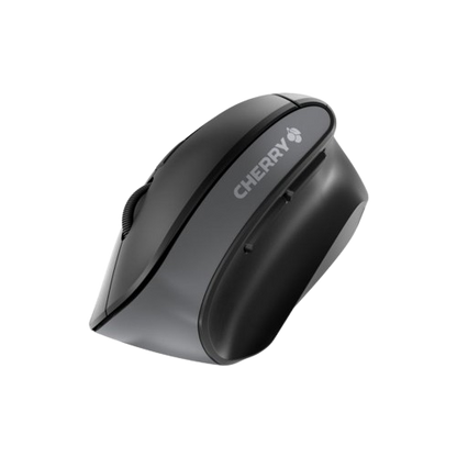 Souris MW 4500 sans-fil