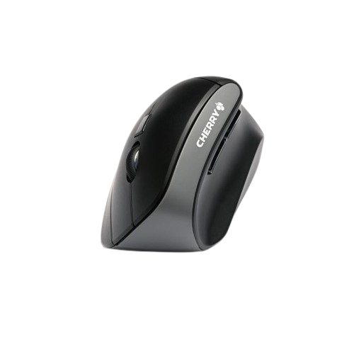 Souris MW 4500 sans-fil