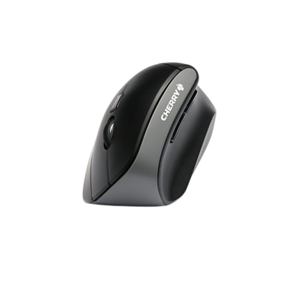 Souris MW 4500 sans-fil