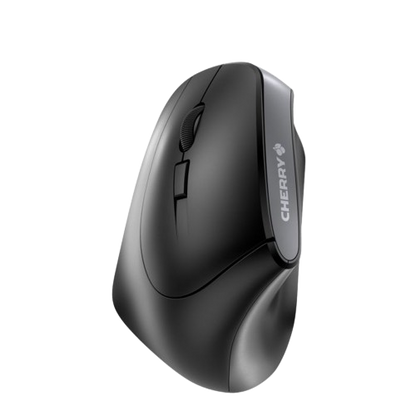 Souris MW 4500 sans-fil